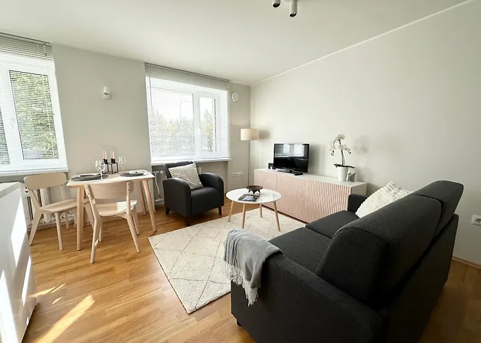 Lovely Beachfront Apartment In Paernu